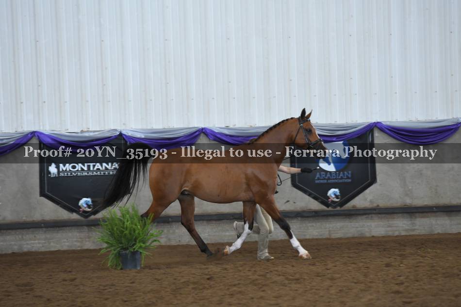 Proof 20YN_35193