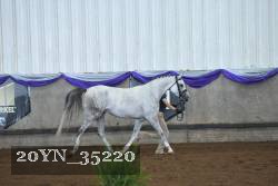 20YN_35220 proof