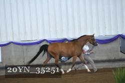 20YN_35251 proof