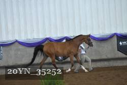 20YN_35252 proof
