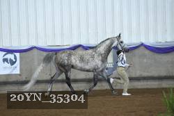 20YN_35304 proof