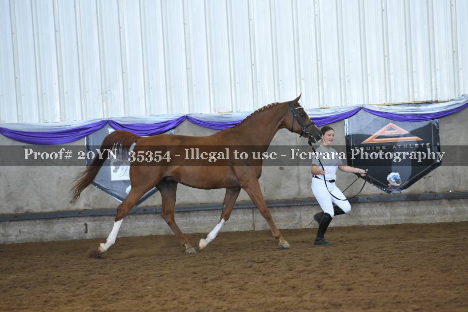 Proof 20YN_35354