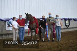 20YN_35402 proof