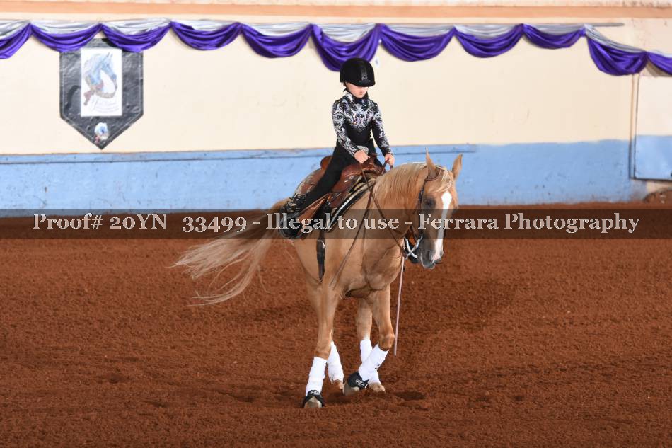 Proof 20YN_33499