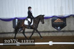 20YN_11217 proof