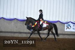 20YN_11291 proof