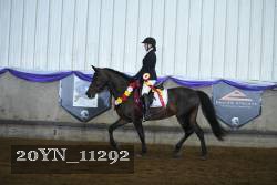 20YN_11292 proof