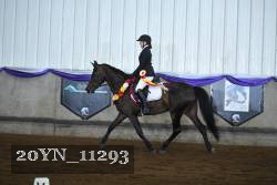 20YN_11293 proof