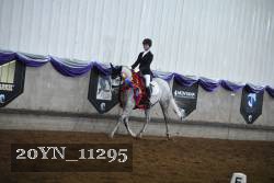 20YN_11295 proof