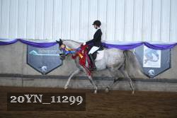 20YN_11299 proof