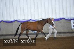 20YN_27671 proof