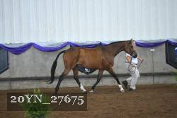 20YN_27675 proof