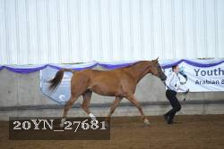 20YN_27681 proof