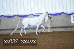 20YN_32402 proof