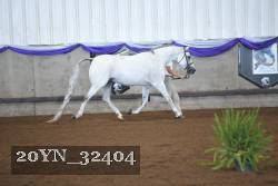 20YN_32404 proof
