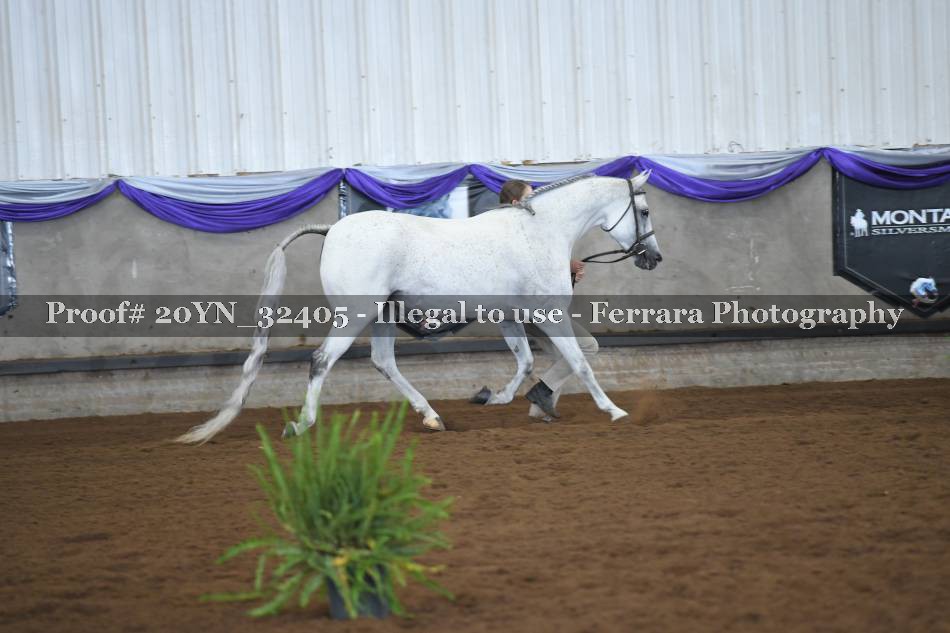 Proof 20YN_32405