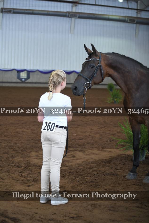 Proof 20YN_32465