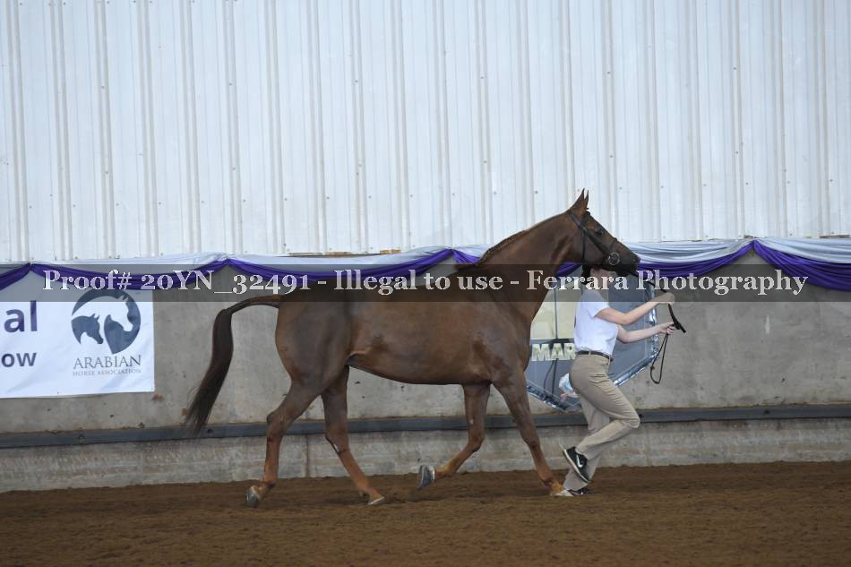 Proof 20YN_32491