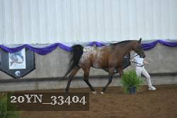 20YN_33404 proof