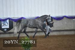 20YN_27781 proof