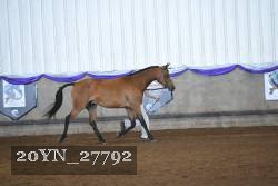 20YN_27792 proof