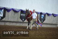 20YN_27860 proof