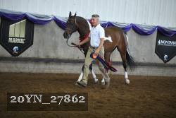 20YN_27862 proof