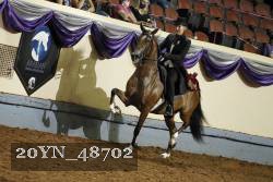 20YN_48702 proof