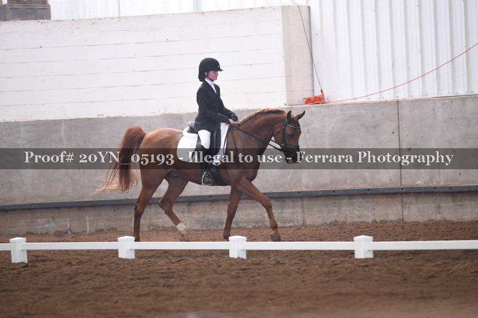 Proof 20YN_05193