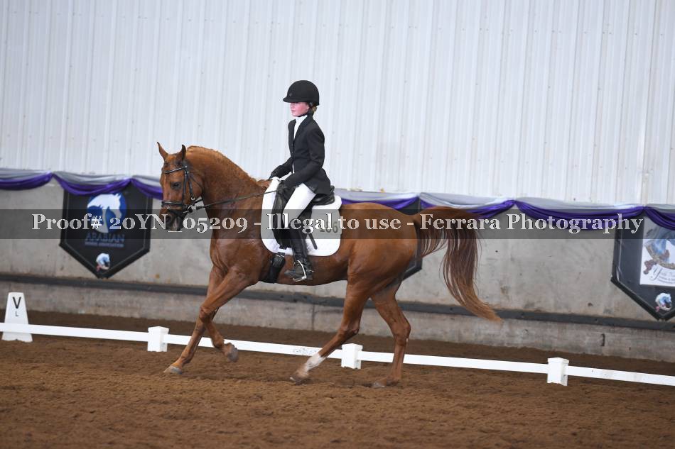 Proof 20YN_05209