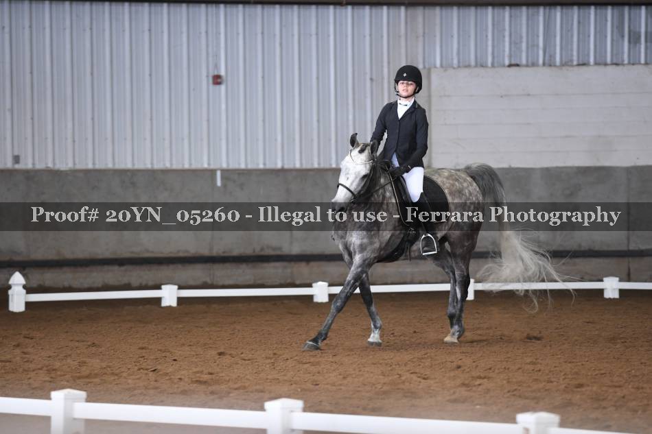 Proof 20YN_05260
