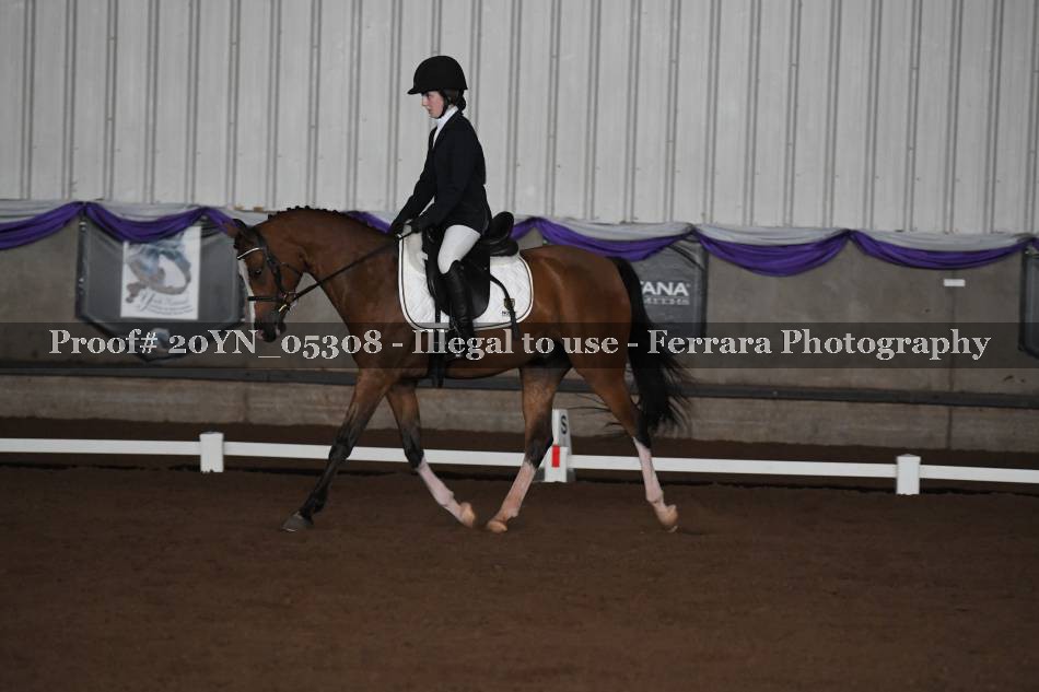 Proof 20YN_05308