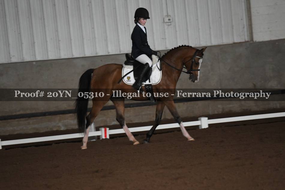 Proof 20YN_05310