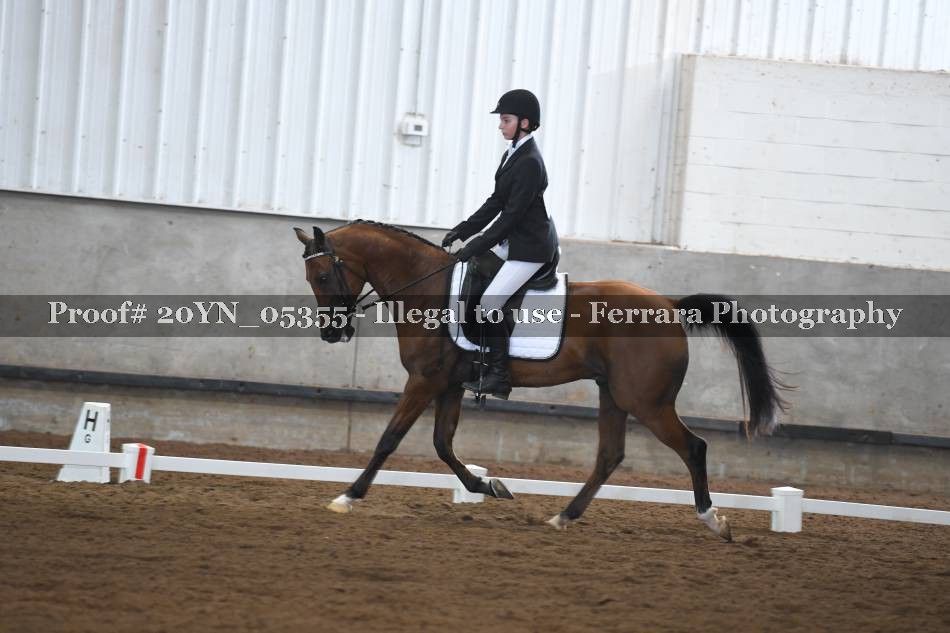 Proof 20YN_05355