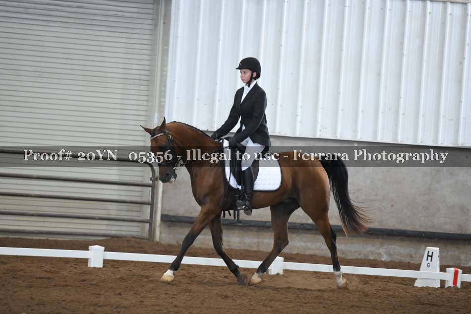 Proof 20YN_05356