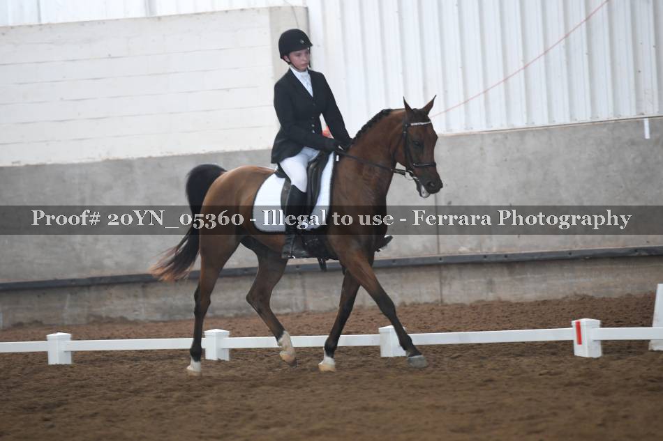 Proof 20YN_05360