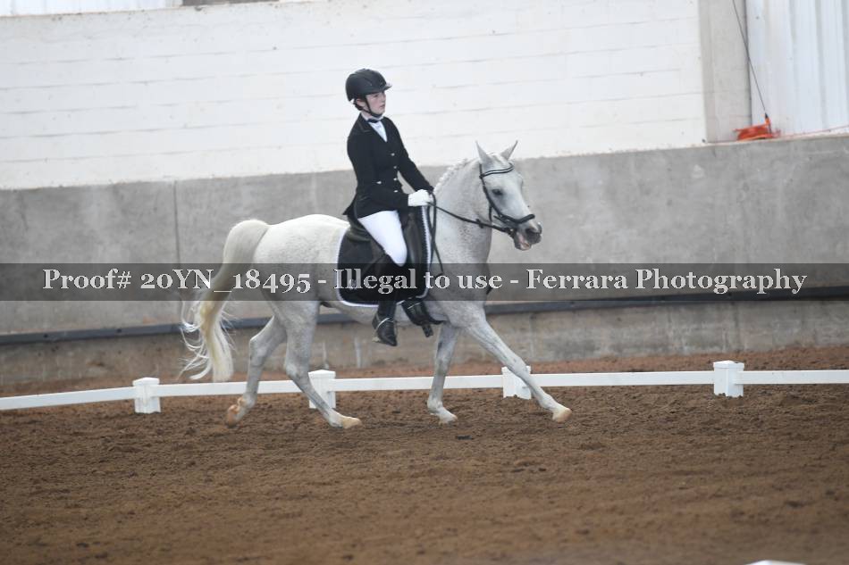 Proof 20YN_18495