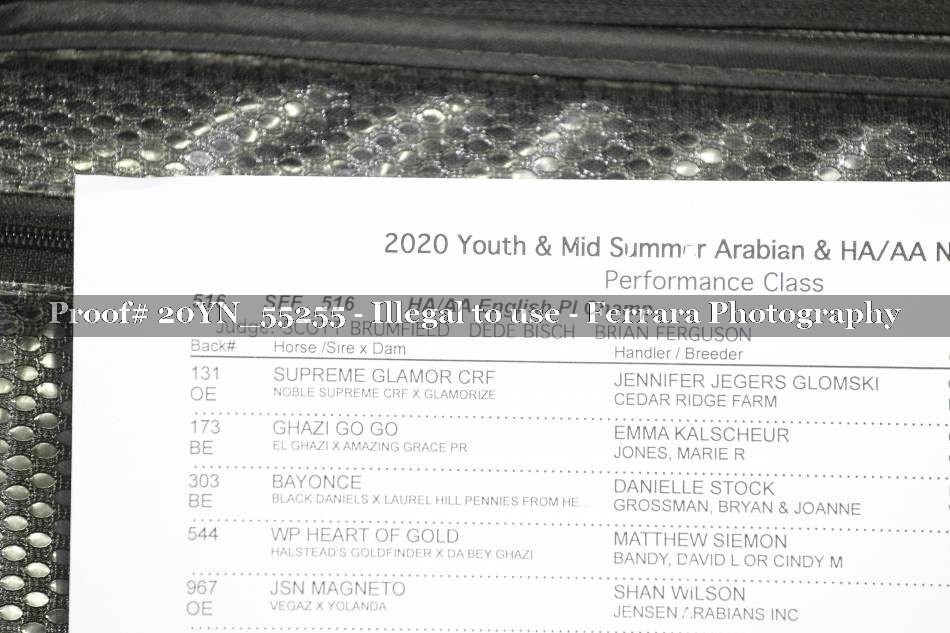 Proof 20YN_55255
