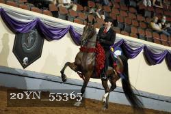 20YN_55365 proof