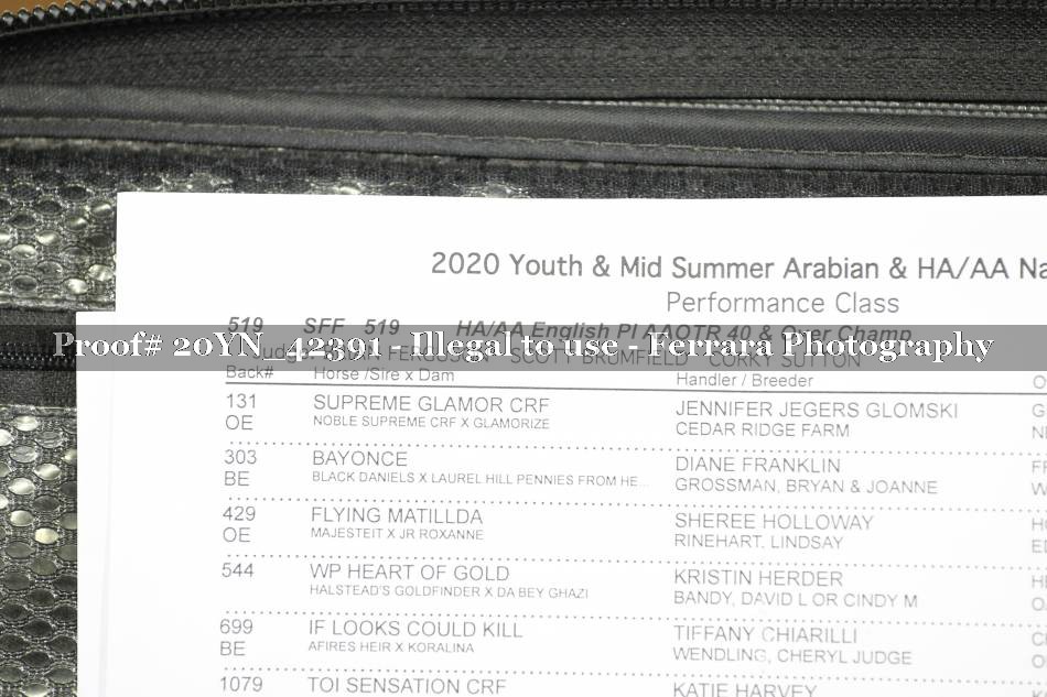 Proof 20YN_42391