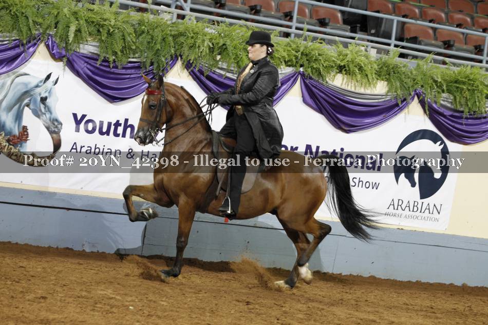 Proof 20YN_42398