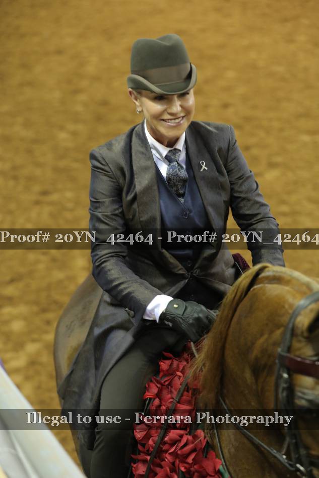 Proof 20YN_42464
