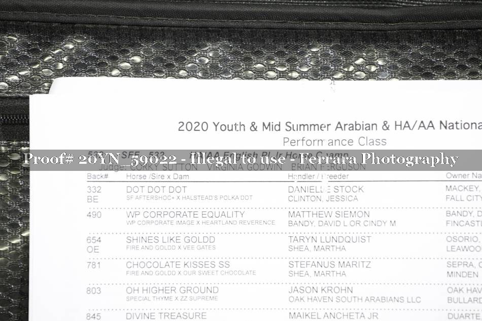 Proof 20YN_59022