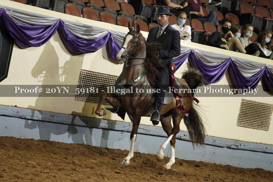 Proof 20YN_59181