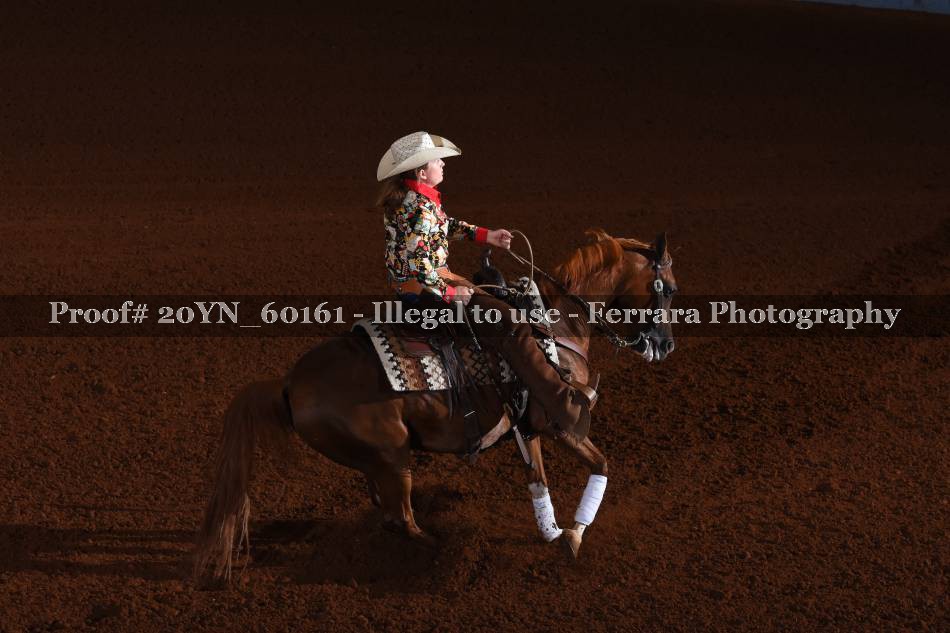 Proof 20YN_60161