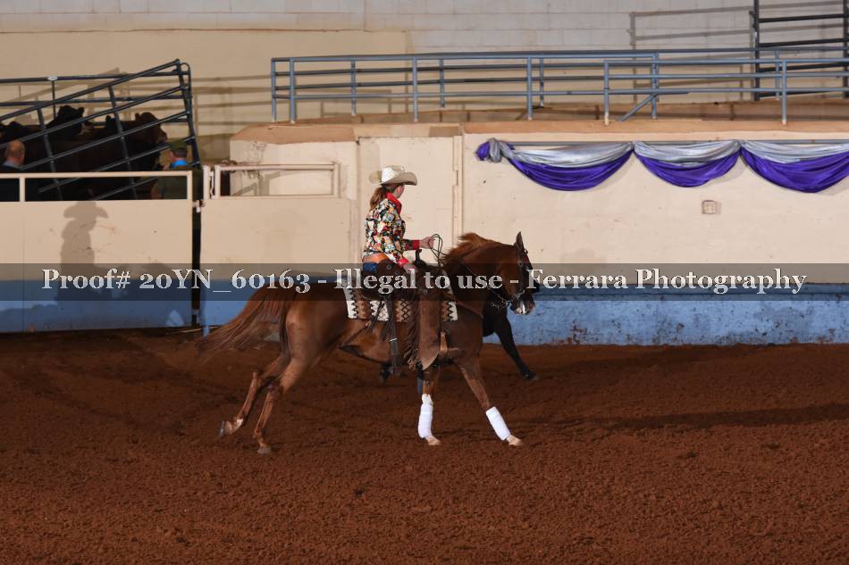 Proof 20YN_60163