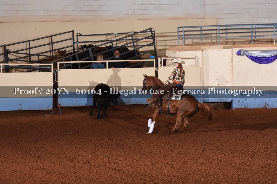 Proof 20YN_60164