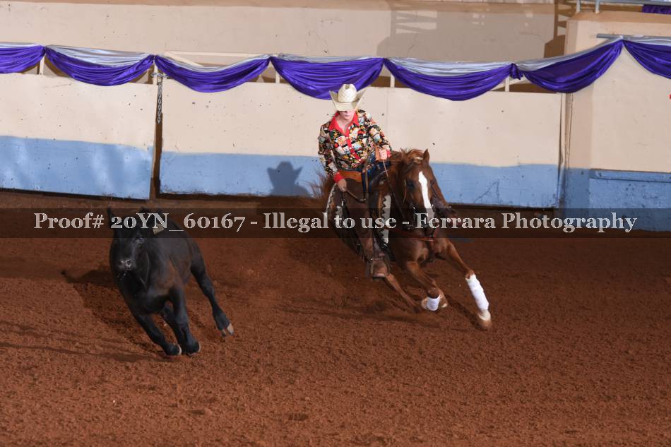 Proof 20YN_60167