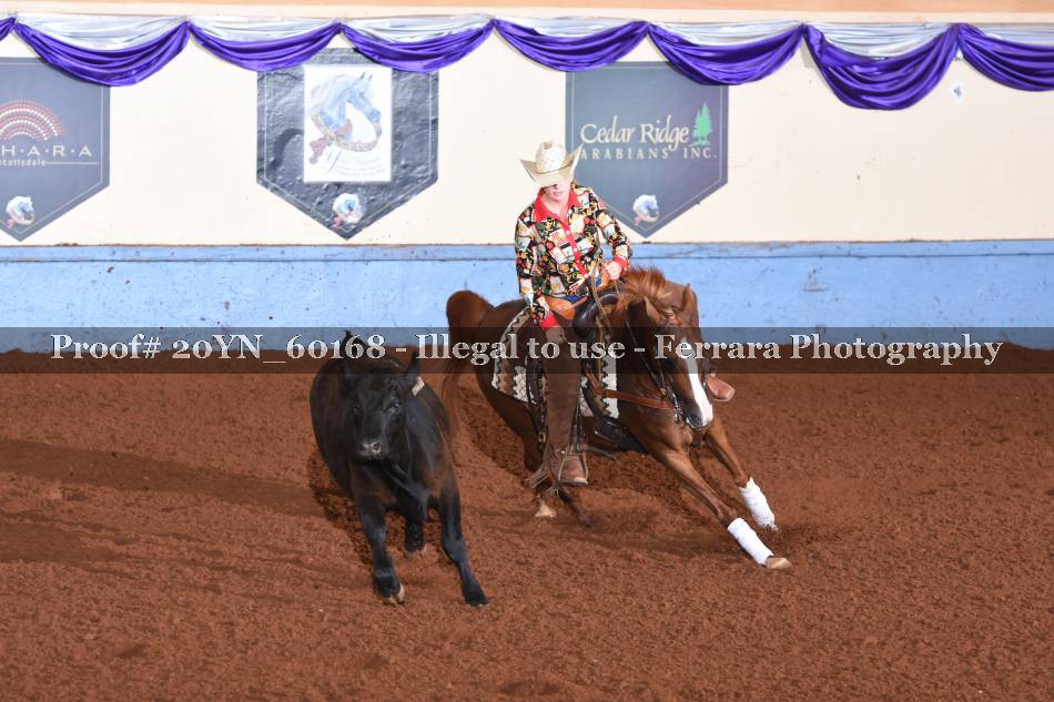 Proof 20YN_60168