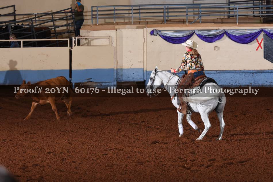 Proof 20YN_60176